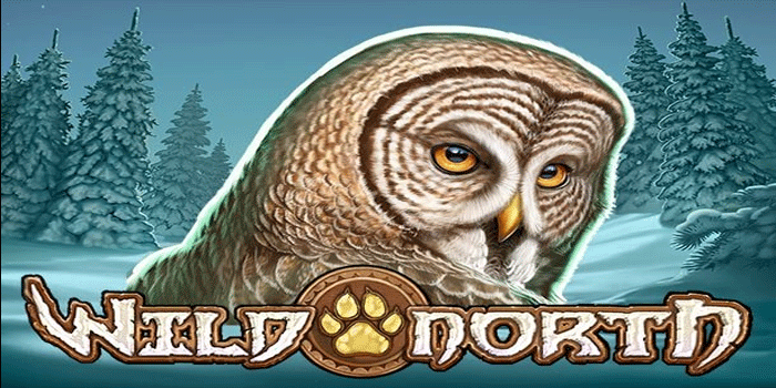 Rekomendasi Slot Wild North Dengan Kemenangan Konsisten